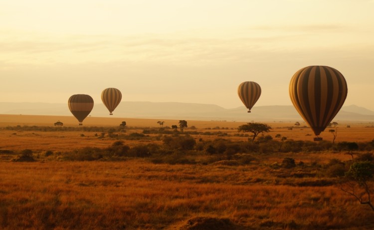 Air balloons during sunrise above Masai Mara in Kenya. shutterstock 2256194289