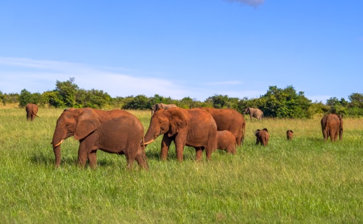 shutterstock 2447419591