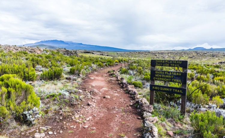Kilimanjaro Lemosho Trek shutterstock 1652082322 small