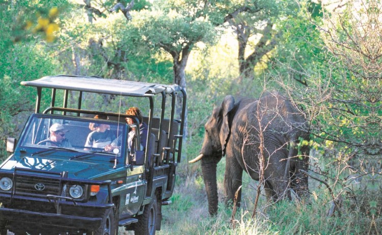 Game Drive