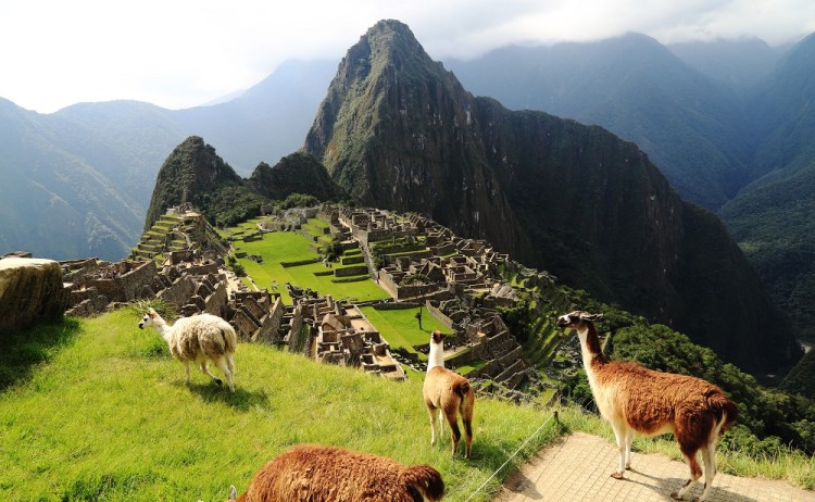 Machu Picchu 