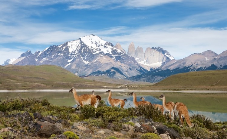 By Enrique Aguirre shutterstock 1017096550 800.