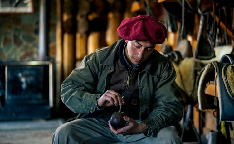 Patagonian Baqueanosmall