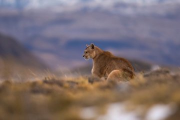 Las Torres Hotel: Torres del Paine