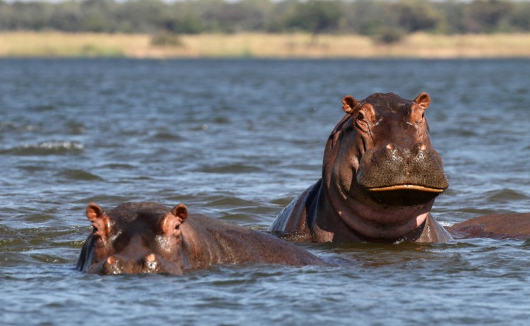 shutterstock 1555562828