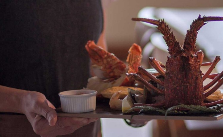 Crayfish lunch Fiordland lodge v2