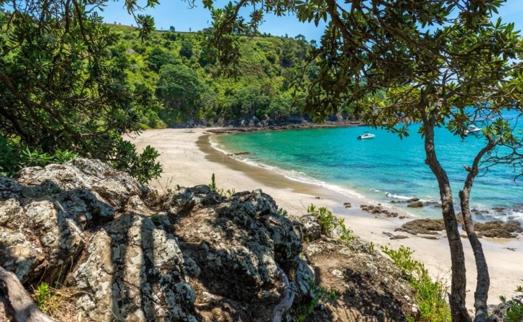 waiheke 172737041 v2