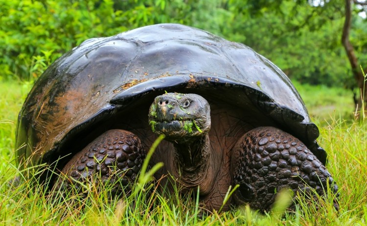 Andean Adventure Galapagos Islands 9