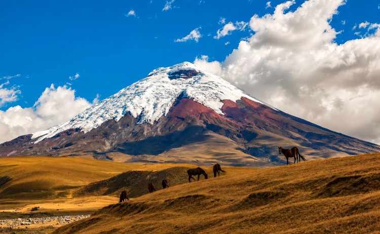 Cotopaxi Ecuador1
