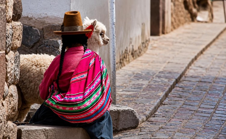 Cusco lady wearing tradiitional clothes with Llama