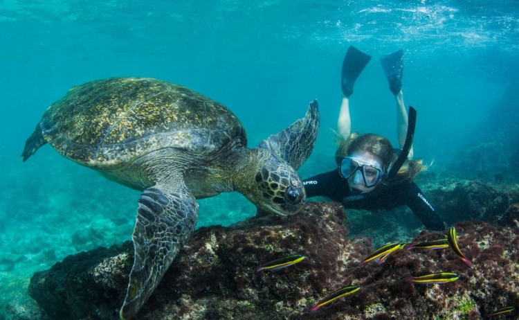 Snorkeling in Galapagos