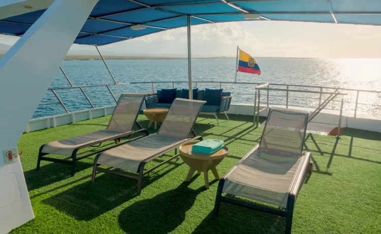 galaxy bonita sundeck sun loungers galapagos cruises 1