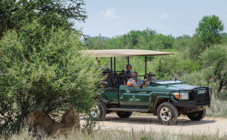 Jacis Tree Lodge Wildlife Game Drive