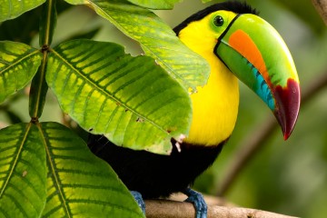 Magic of Colombia | 8 Day Cruise