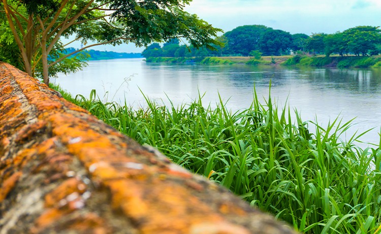 MagdalenaRiver Colombia