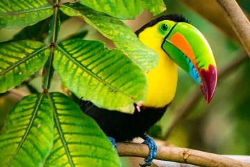 Magic of Colombia | 8 Day Cruise