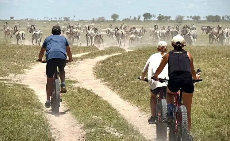 Makgadikgadi Cycling Safari zebra migration experience