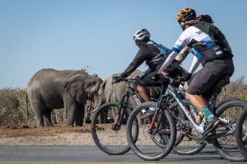 Makgadikgadi Cycling Safari
