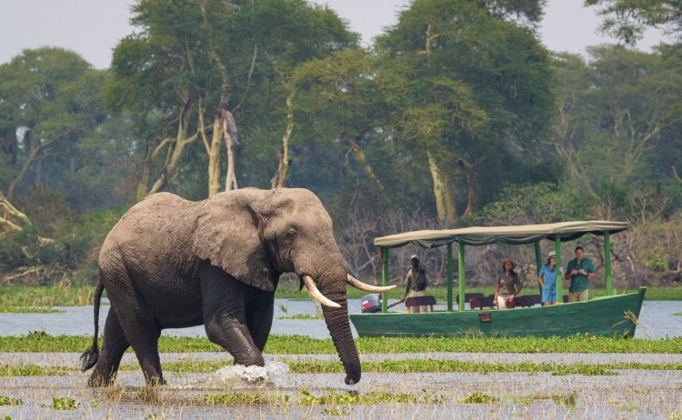 Kuthengo excursion 2 v2