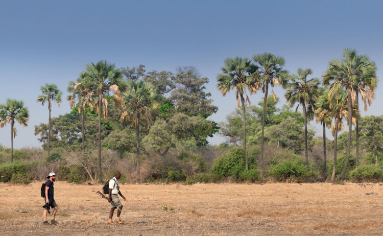 nicki edit pano kanga walking