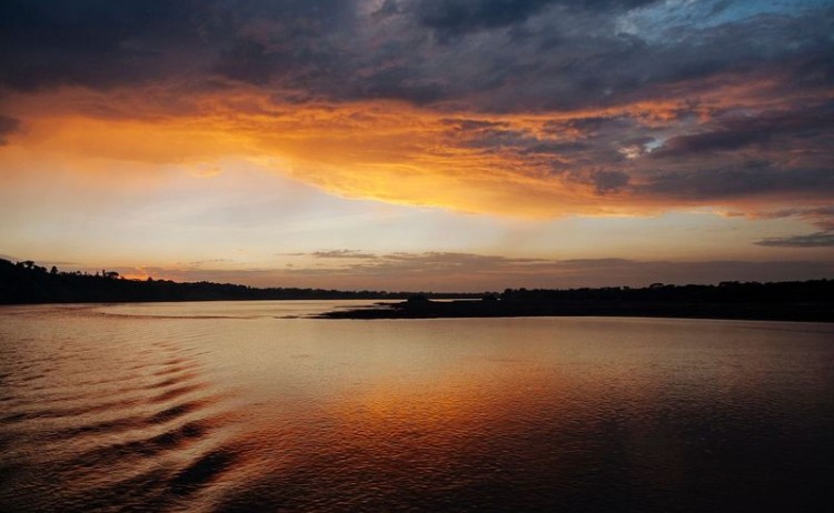 Manatee Amazon cruise Panaacocha Natural Reserves