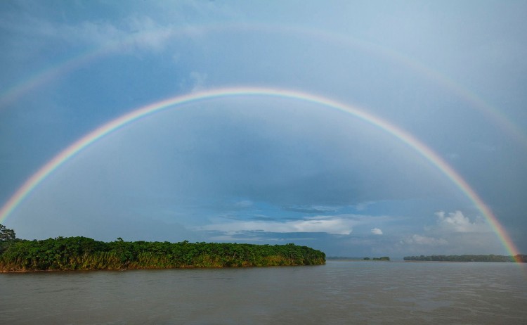Manatee Amazon cruise Yasuniue National Park Natural Reserves1