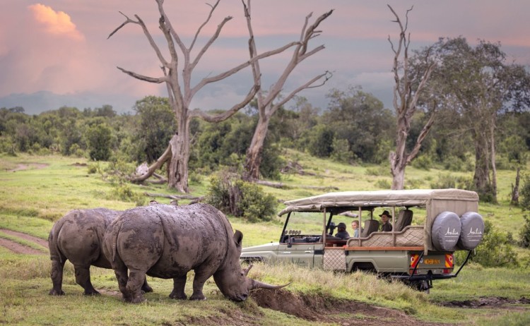 Mara to Wild South Bush Camp Game drive Asilia