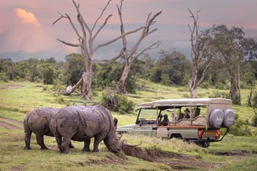 Mara to the Wild South
