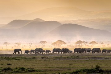 Mara to the Wild South
