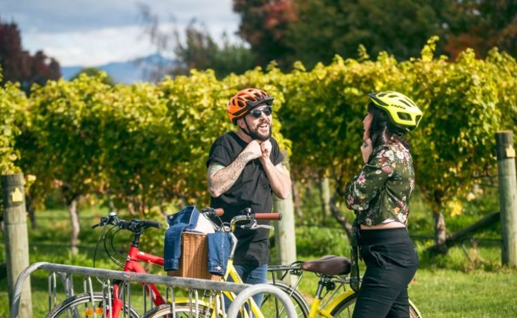 Forest estate Marlborough 2 v2