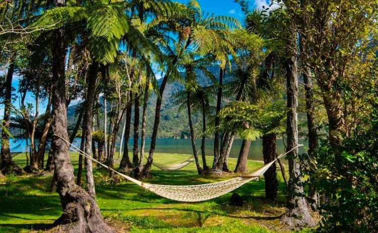 Furneaux Lodge hammock pungas water 2019 RB 2 v2