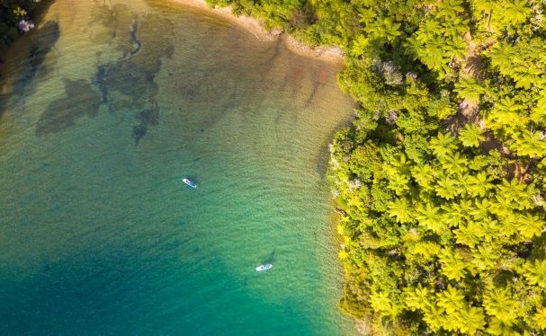 Marlborough sounds drone tourism nz small
