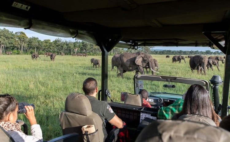 governors camp gallery 17 min