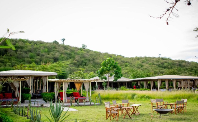 Zebra Plains Camp gal dining s15