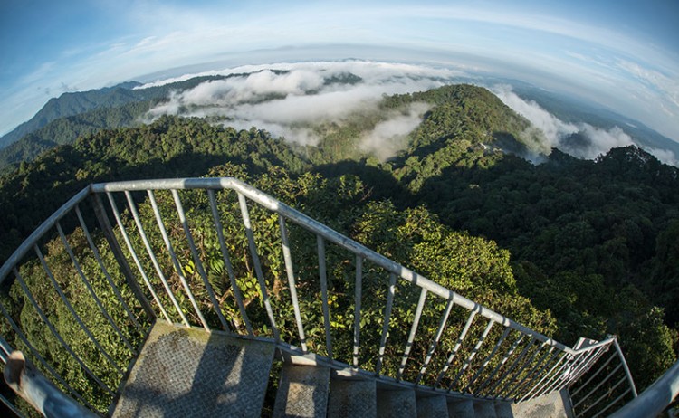 Mashpi Lodge Observation tower 1