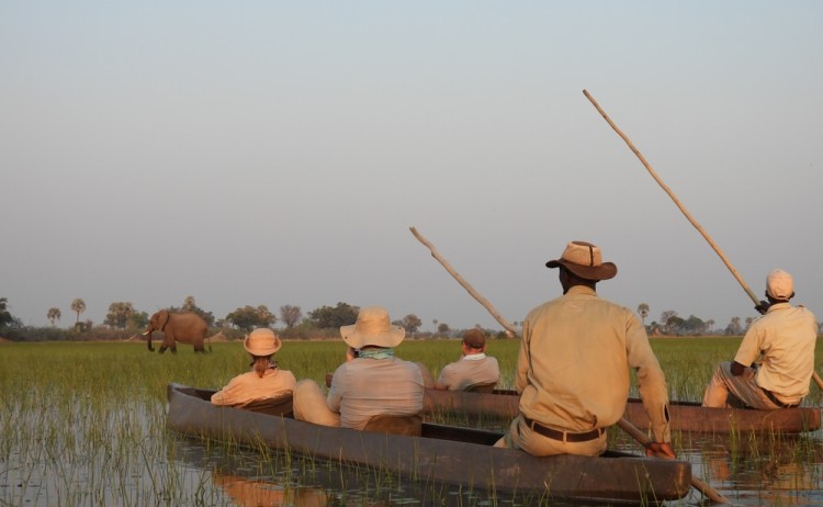 Mokoro ride in Okavango Delta 2