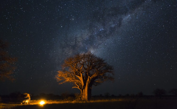 Night camping under Boabab tree