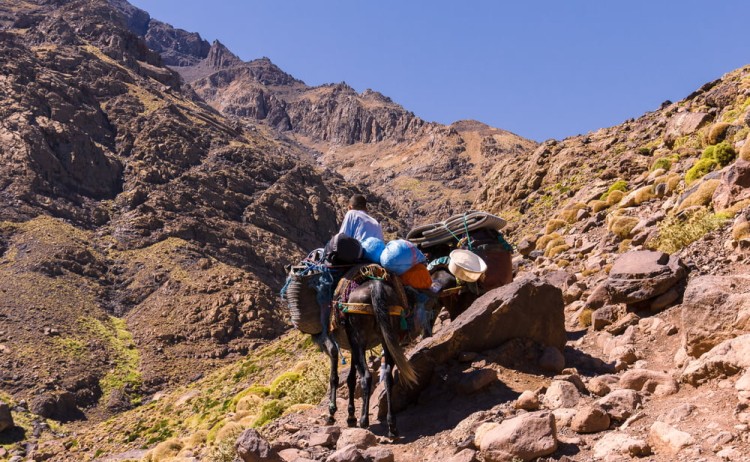 Mount Toubkal summit trek The trail to Toubkal the highest mountain in North Africa