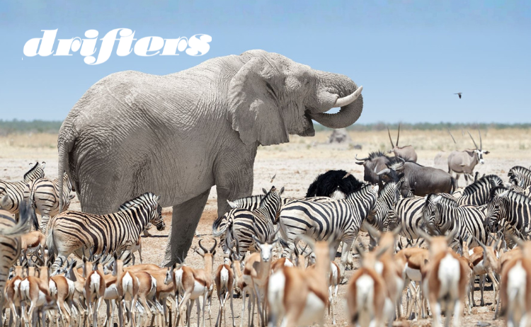 Namibia Adventure  Small Group