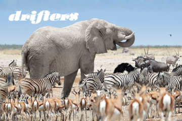 Namibia Adventure: Small Group
