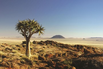 Namibia: Desert Roads & Wild Places