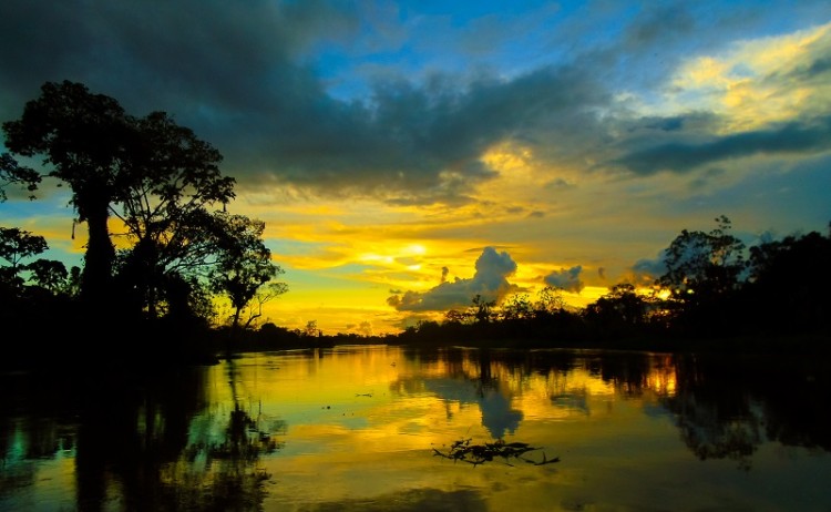 Amazon Rainforest Ecuador