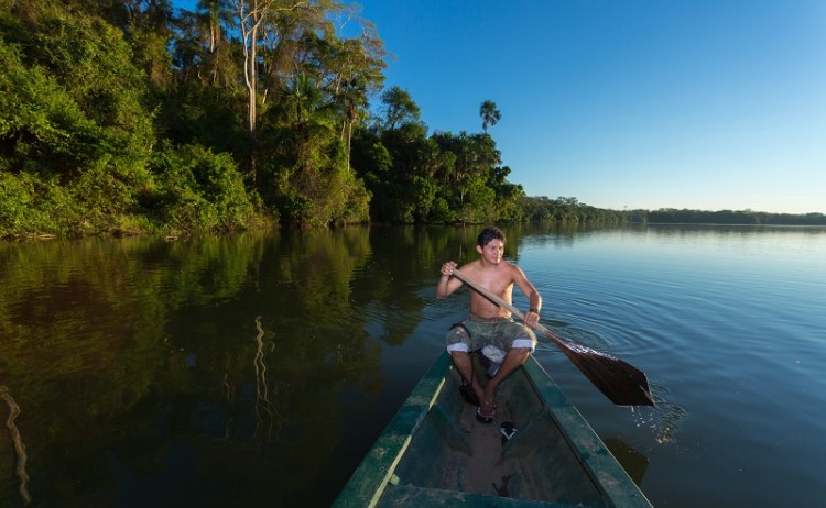 Amazon Rainforest Ecuador