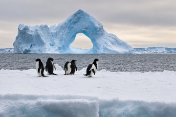 New Year's Antarctic Circle Crossing