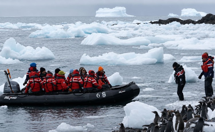 New Years Antarctic Crossing zodiac landing with penguins and icebergs