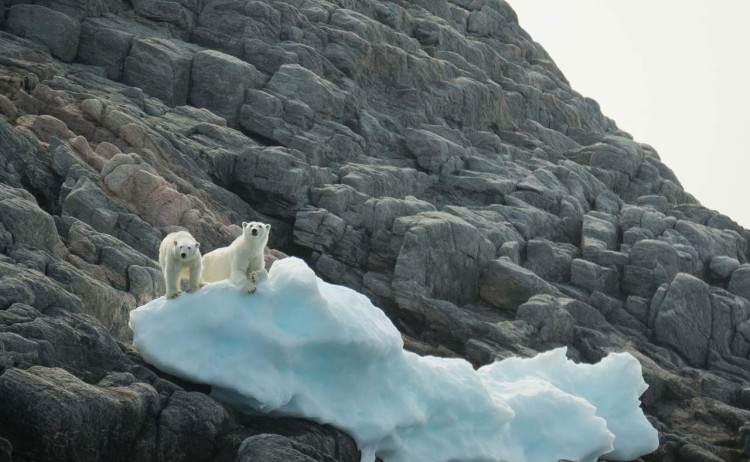 QuarkExpeditions monumental island canadianarctic Credit AcaciaJohnson