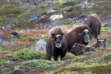 Northwest Passage