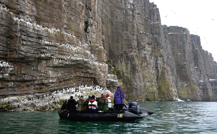 Lofoten to Svalbard bear island with bear colonies