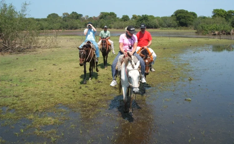 Pantanal tours horseback riding activity
