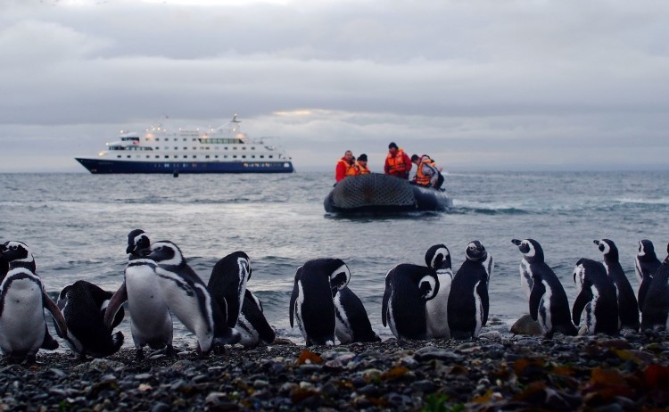 Australia isla magdalena